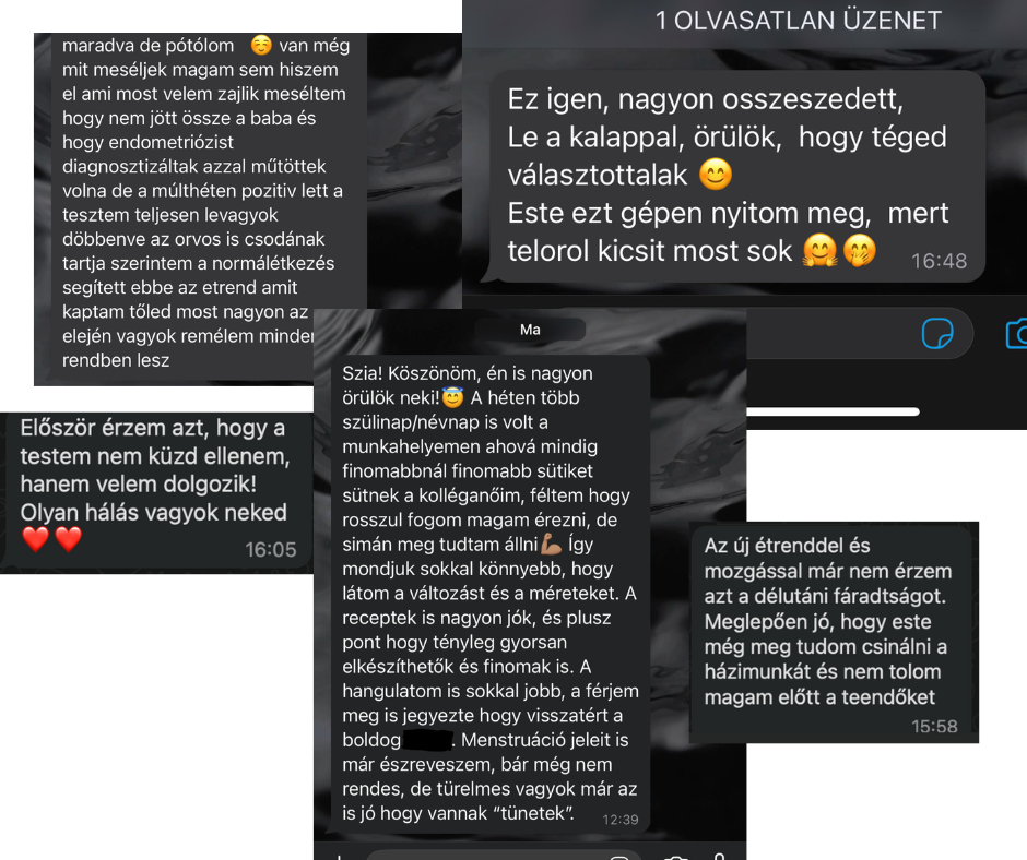 Vendégvisszajelzés