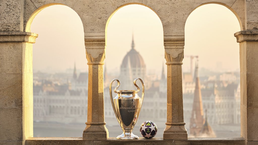 UCL Trophy close-up